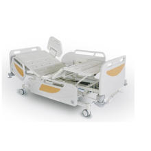 Factory Direct Supply Hospital Bed for Paralyzed Patients